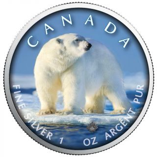 Polar Bear - 1 Oz Silver Coin 5$ 2019