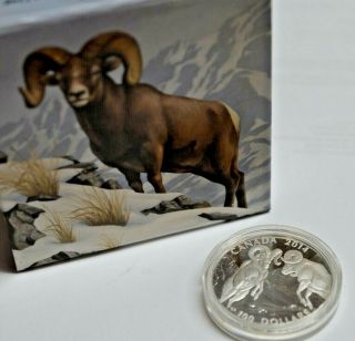 2014 Canada Clashing Titans:rocky Mountain Bighorn Sheep 100 Dollars Silver Coin