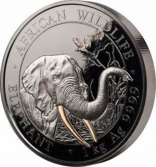 Somalia 2018 2000 Shillings Elephant Golden Enigma 1 Kg Silver Coin