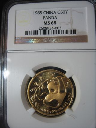 1/2 Oz Pure Gold Coin - 1985 China Panda G50y Ms - 68