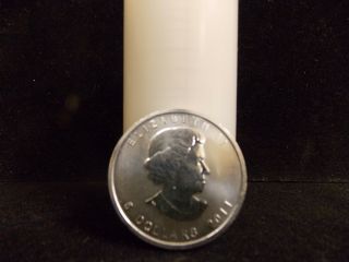 25 Count Tube 1 Oz Silver $5 Maple Leaf Coins