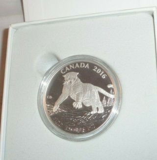 2016 Canada $100.  9999 Silver Coin North American Cougar Cat And