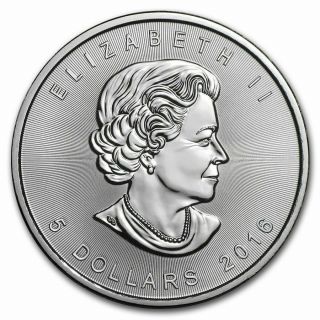 2016 1 Oz Canadian Silver Maple Leaf $5 Coin - Tube Of 25 From