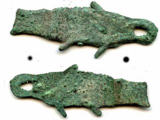 " Fish Money " Earliest Bronze Money,  Western Zhou Dynasty (1046 - 771bc),  China