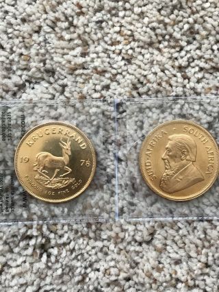 (2) Krugerrand 1 Ounce Gold Coins from South Africa 2