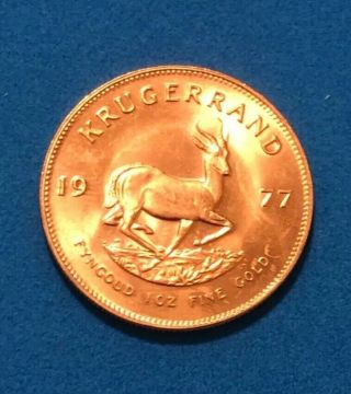 1977 Krugerrand 1 Oz Gold.  999 Fine Gold AU Fyngoud 1Troy Ounce Gold 3