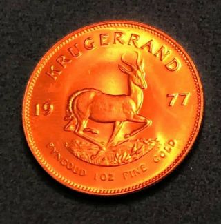 1977 Krugerrand 1 Oz Gold.  999 Fine Gold AU Fyngoud 1Troy Ounce Gold 7