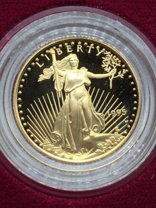 1995 W 10th Anniversary Proof American Eagle 4 Coin Gold & Silver Eagle Set 7