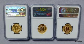 This Is For Simon Lee Only.  Three NGC Certified 1/3 Gold Coins W/. 4