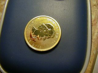 2013 Canadian 1/2 Oz 9999 Pure Gold Coin Uncirculated