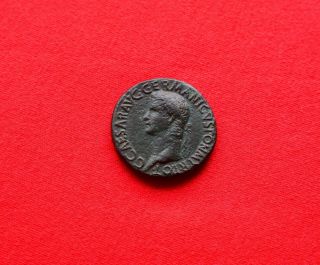 Caligula 37 - 41.  Sestertius - Rev.  S.  P.  Q.  R - Extremely Rare