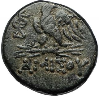 Amisos In Pontus - Mithradates Vi The Great Ancient Greek Coin Zeus Eagle I67222