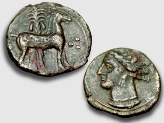 Wreathed Goddess Tanit,  Horse & Palm Tree / Zeugitania,  Carthage 400 - 350 Bc,