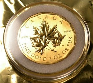 Canada 2007 Maple Leaf 1 oz.  9999 fine gold $200.  bullion coin 2