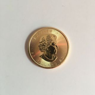 1 Oz Gold Canadian Maple Leaf Coin