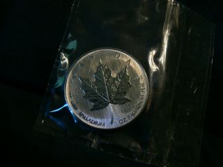 Canada Palladium Maple Leaf 2005 1 Oz Pd $50