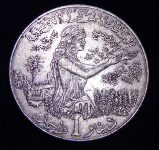 Tunisia 1996 (ah 1416) 1 Dinar Woman In The Garden F.  A.  O.  Unc Coin