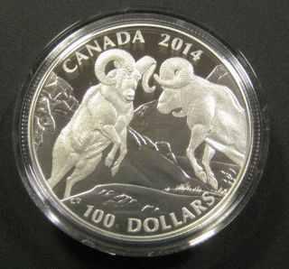 Canada $100 Fine Silver Coin Bighorn Sheep (2014)