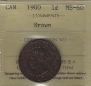 1900 Canada Large Cent Coin.  Victoria 1 Penny Key Date Iccs Ms - 60 Sh