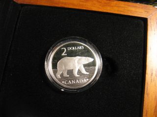 2004 Canada Proud Polar Bear Silver $2 Coin & Stamp Set. 4