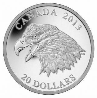 The Bald Eagle: Portrait Of Power - 2013 Canada $20 Fine Silver Coin