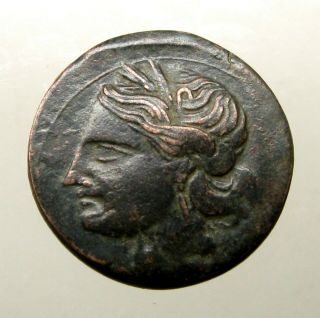 Large Carthage Zeugitana Bronze Ae30_tanit,  Horse_queen Dido / Punic Wars