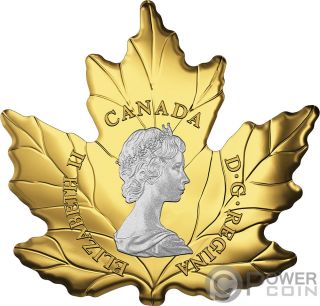 PLATINUM MAPLE LEAF 30th Anniversary Cut Out 1 Oz Gold Coin 200$ Canada 2018 2