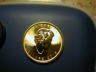 2018 Canadian 1/2 Oz 9999 Pure Gold Coin Uncirculated