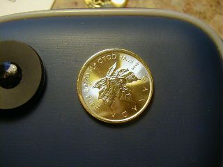 2017 Canadian 1/2 oz 9999 pure gold coin uncirculated 3