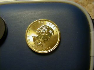 2017 Canadian 1/2 oz 9999 pure gold coin uncirculated 4