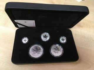 Rcm 2004 Privy Mark Canadian Silver Maple Leaf Fractional Coin Set
