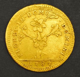 1787,  Vatican,  Pope Pius VI.  Gold 30 Paoli (Doppia) Coin.  5.  41gm 2
