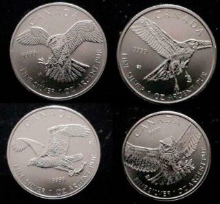 Canada - 2014 - 15 Bird Of Prey 4 1 Oz.  Silver Coin Set - Falcon,  Eagle,  Hawk,  Owl