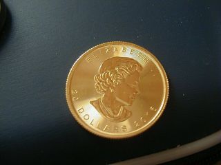 2016 Canadian 1/2 Oz 9999 Pure Gold Coin Uncirculated