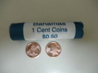 2014 Bahamas 1 cent coins (Roll of Coins) (Coat of Arms & Starfish) - 3