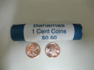 2014 Bahamas 1 cent coins (Roll of Coins) (Coat of Arms & Starfish) - 4