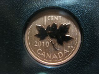 2010 Unc Magnetic Specimen Canadian Penny One Cent - 1 Cent Coin