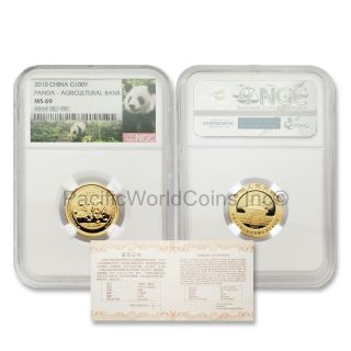 China 2010 Panda Agricultural Bank 100 Yuan 1/4 Oz Gold Ngc Ms69 With