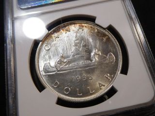 Y49 Canada 1936 Silver Dollar NGC MS - 64 2