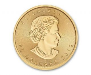 1 Oz Canadian Gold Maple Leaf.  9999 Fine Gold Random Year 1 Oz.  Rcm $50 Coin