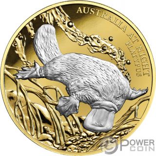 Platypus Australia At Night 1 Oz Gold Coin 100$ Niue 2019