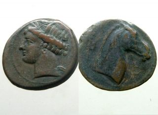 Carthage Zeugitana Ae21 _horse Head_queen Dido / Punic Wars