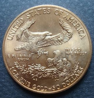 2013 $50 Dollars 1oz Gold American Eagle BU 2