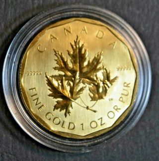 Canada RCM 2007 1 troy oz.  9999 fine gold maple leaf $50 coin (31.  1 Grams) 2