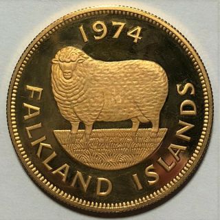 1974 Falkland Islands 5 Pound Gold Coin (1.  1775 Agw) Km 9 - 1c Start