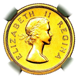 1953 Queen Elizabeth Ii South Africa Gold Proof Sovereign Pound £1 Ngc Pf67