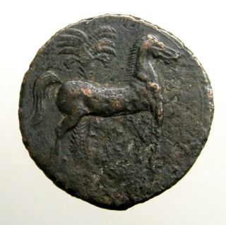 Large Carthage Zeugitana Bronze Ae31_tanit,  Horse_queen Dido / Punic Wars