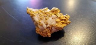 Huge Gold Nugget 80.  61gr (eze033725)