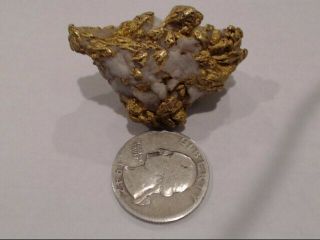Huge gold nugget 80.  61gr (EZE033725) 6