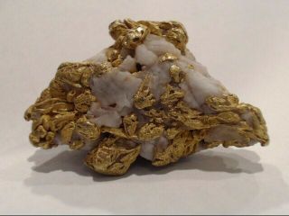 Huge gold nugget 80.  61gr (EZE033725) 7